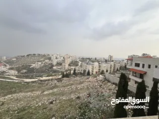  1 شقة مميزة في العامرية للبيع