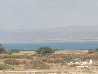  1 أرض 10 دونم ب أجمل مناطق البحر الميت على الشط السياحي