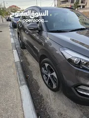  5 2017 Tucson in Ramallah and Al Bireh