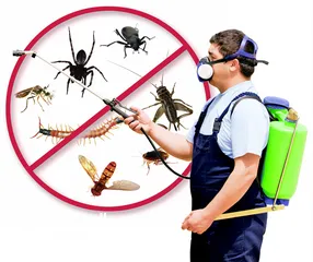  1 مكافحة الحشرات والقوارض للبيوت والمحلات والفنادق والشركات