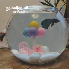  4 "جديد روح تنسيق أنيق لحوض الفايتر مع ناعورة وأحجار زينة طبيعية"