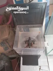  4 ماكينة طحن قهوه وبهارات