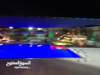  31 شاليه ومزرعه للايجار