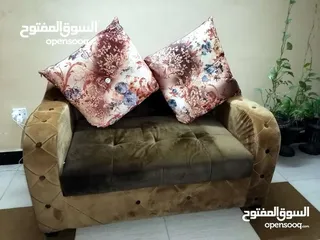  1 تخم قنفات نظيف جدا للبيع