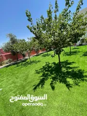  13 عشب ملاعب / عشب حدائق / عشب مدارس / عشب مزارع / عشب صناعي/ نجيل / تارتان Playground grass