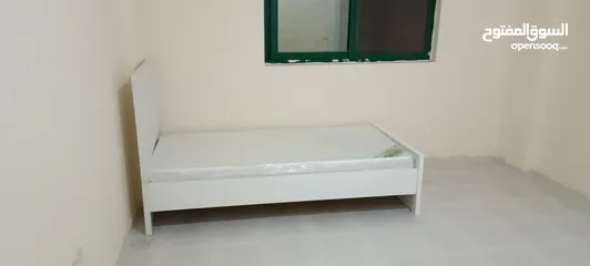  6 Furnished Bed space or room available in Al Qasimia for bachelor/couple/ladies