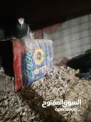 27 متاح جواز و حبات فلت موجودات طبربور سعرهن كويس