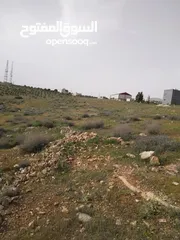  8 3600م للبيع رحاب بني حسن مرتفعه ومطله ع طريق اريد الزرقاء من المالك مباشره