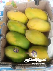  3 Pakistani fresh mangoes sindri coming soon inshallah