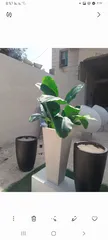  3 قواوير فايبر اسمنت قوية وجميلة جدا