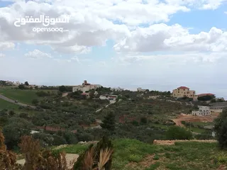  9 2300 م السلط المغاريب قطعة ملوكية تصلح ل فيلا او مزرعة اطلالة ع الغرب و جبال فلسطين