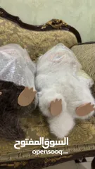  6 Labubu v.3 لابوبو الجيل الثالث