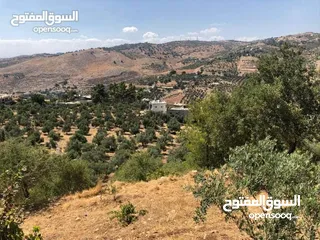  1 قطعه ارض للبيع