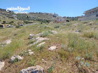  18 2300 م السلط المغاريب قطعة ملوكية تصلح ل فيلا او مزرعة اطلالة ع الغرب و جبال فلسطين