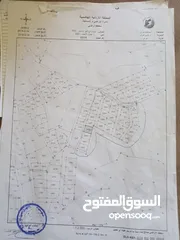  1 ارض سكني للبيع في جرش داخل التنظيم