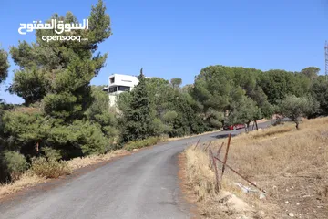  7 (1)ارض للبيع بدر الجديدة حوض الحديب مساحه 740م