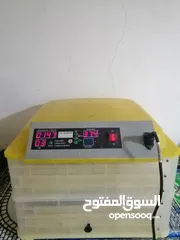  1 فقاسة بيض 72 بيضة