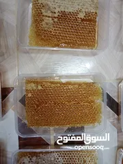  25 يوجد عسل طبيعي مكفول 100٪ من جبال عجلون _ عرجان