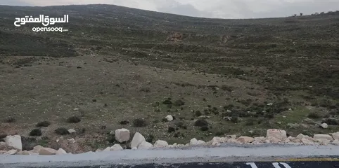  4 نمرة ارض في بيت امرين