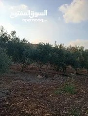  9 اعلان عن ارض