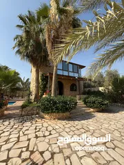  13 مزرعة وشاليه القريه