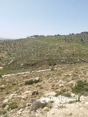  7 قطعة ارض للبيع بسعر مغري جدا