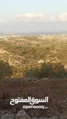  3 القبة الذهبية  شارع بلعا-دير الغصون