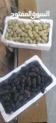  8 يرجد توت ابيض اسود تركي
