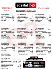  1 ETISALAT BUSINESS PLANS