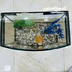  4 حوض حجم صغير للبيع