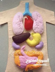  6 مشاريع مدرسيه