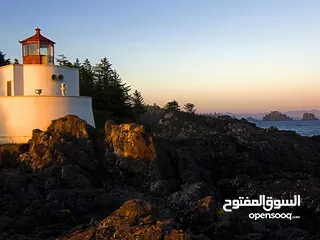  2 تسوية للأيجار / 70 دينار شاملة استهلاك  الماء كاملا والكهرباء لحد 50 كيلو / اربد / حنينا