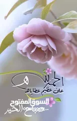  1 معلم عربي  اعدادي وثانوي