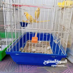  2 كنار            .