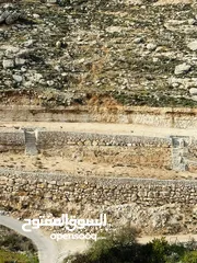  5 قطعة ارض 3 نمر فرش الهوا