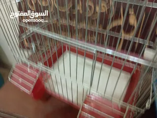  7 قفصين واحد جديد و تاني مستعمل