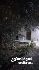  7 بيت مكون من غرفتين + صاله خارجيه+ صاله داخليه +مطبخ +حمام