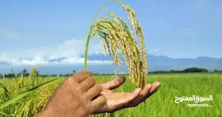  7 للباحثين عن بناء شركة للاستثمار الزراعى والانتاج الحيوانى