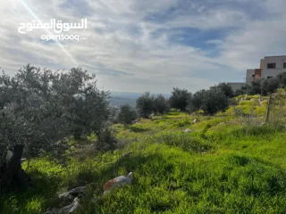  1 أرض للبيع بإطلالة غربية واصل جميع الخدمات