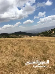  21 فرصة استثمارية! أرض زراعية مميزة بسعر مغري و بالقرب من أحراش الدولة للمزيد من المعلومات اقرأ الوصف