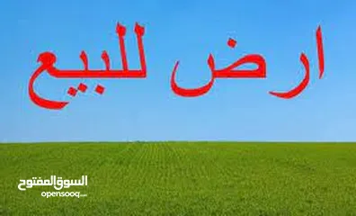  2 بالاشرفيه-محافظه المفرق-10دونم زراعي مفروزة مميزة من مالكها للبيع