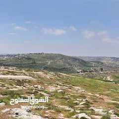  18 ارض مميزه للبيع بمساحه 950م و بسعر تنافسي من المالك _ شارع مادبا الغربي _طريق الجامعة الالمانية