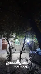  6 بيت مكون من غرفتين + صاله خارجيه+ صاله داخليه +مطبخ +حمام