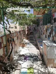  4 شقق مستقله للإيجار مع حديقه خارجيه
