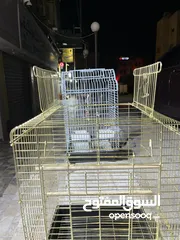  7 قفص ببغاء ذهبي لون ثابت أساسي نخب أول يصلح للمعاكيف المتوسطة والكبيرة اقرأ الوصف