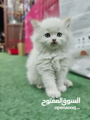  10 همالايا اقرا الوصف