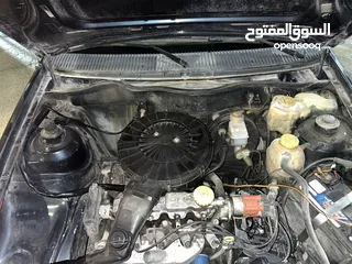  6 ابل كدت للبيع