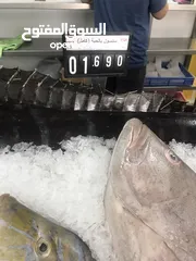  9 ‏للبيع سمك