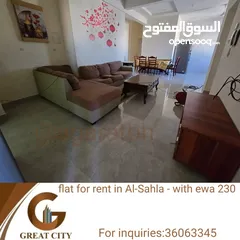  1 A furnished flat with ewa in the Al-Sahla the Bin Aziz Mosque