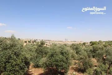  6 (1)ارض للبيع في اجمل مناطق الأردن الفحيص _حوض أبو ركبه _بالقرب من دابوق